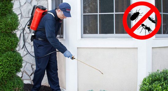 Mustafakemalpaşa Böcek İlaçlama böcek ilaçlama ve haşere kontrolü — ilaclama-tr.com